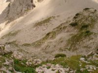 2014-08-02_06FritzPflaum-Steig (286).JPG